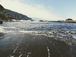 IMG_20220406_131006_full