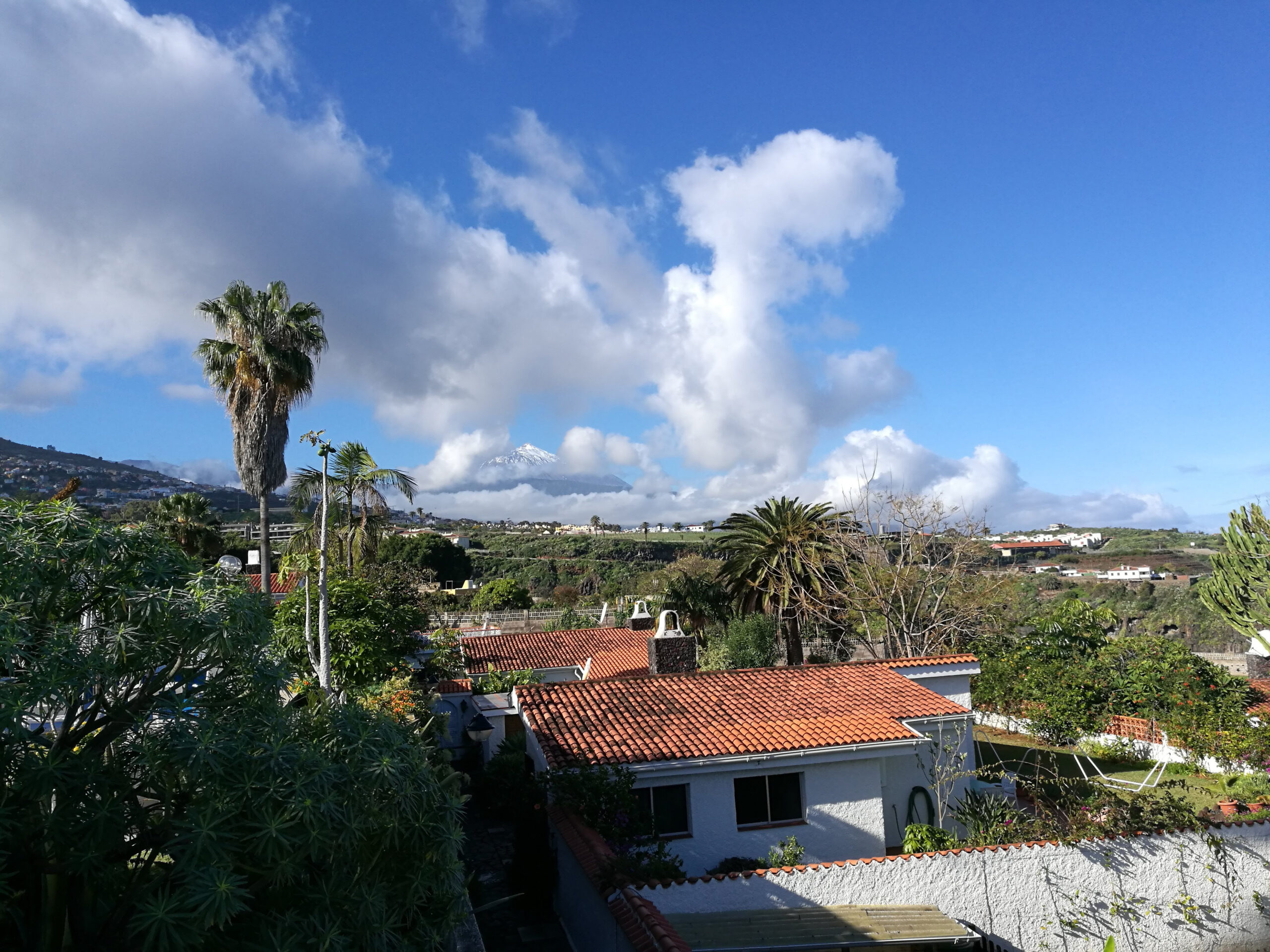 IMG_20180316_093142_1