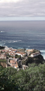 IMG_20181111_155221_hoch